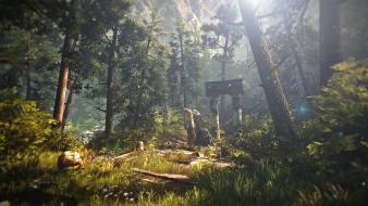 Landscapes nature forest the witcher wallpaper