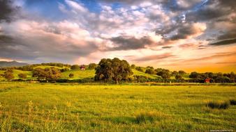 Landscapes nature grass country natural pasture