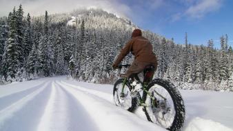 Mountains winter snow trees bicycles roads wallpaper