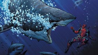 Red deadpool wade wilson sharks artwork wallpaper