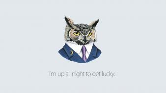 Suit quotes owls simple background get lucky wallpaper