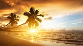 Sunset coast waves palm vacation skies beach wallpaper