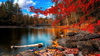 Trees forest rocks hdr photography rivers autumn wallpaper