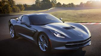 Video games chevrolet corvette stingray 2014 v12