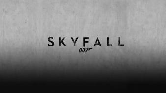 Movies james bond skyfall wallpaper