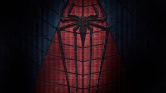 Spider-man 2014 the amazing spiderman 2 wallpaper