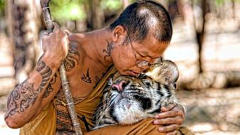 Tigers monk