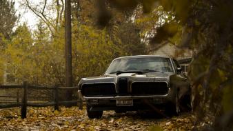 Autumn (season) cougar muscle car wallpaper