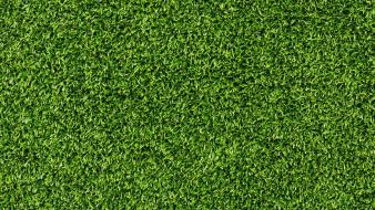 Grass textures wallpaper
