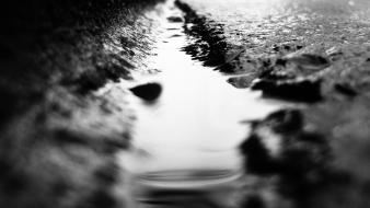 Grayscale depth of field ground puddles wallpaper