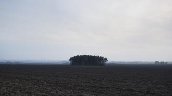 Landscapes trees fields fog mist steppe savannah wallpaper