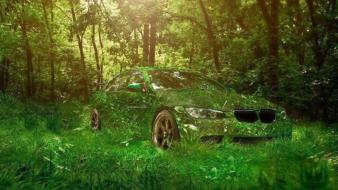 Nature bmw forest cars vehicles green german wallpaper