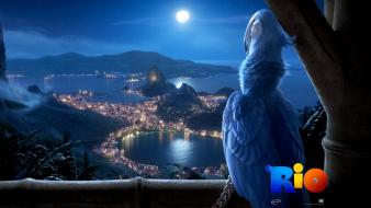 Rio Movie