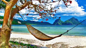 Tropical hammock hdr photography wallpaper