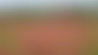 Abstract minimalistic gaussian blur gradient blurred wallpaper