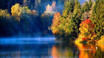 Autumn forests landscapes latvian mist wallpaper