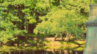 Green water nature trees summer ponds swamps lilypads wallpaper
