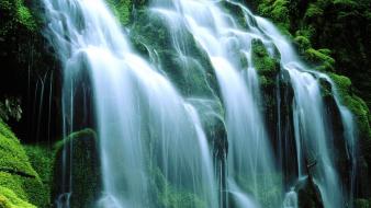 Nature falls moss waterfalls proxy wallpaper