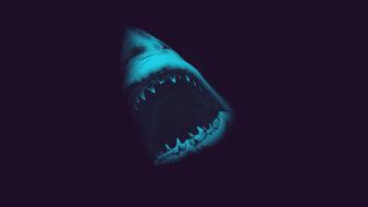 Predator scary fish sharks teeth great sea wallpaper