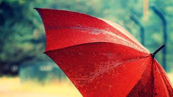 Rain red umbrellas wallpaper
