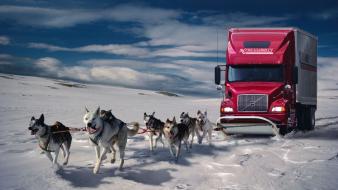 Snow dogs trucks fantasy art digital artwork wallpaper