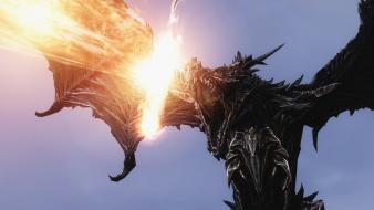 The elder scrolls v: skyrim dragons video games wallpaper