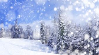 Winter scenes wallpaper
