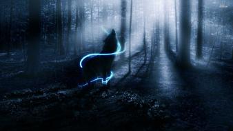 Wolf howling at night wallpaper