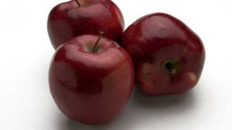 Apple apples food fruits wallpaper