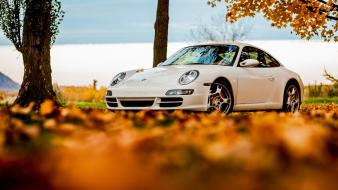 Autumn white porsche 911 wallpaper