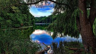 Hdr photography nature wallpaper