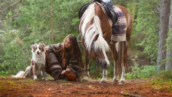 Hobbit air dogs fairy tale forests wallpaper
