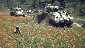 M4 sherman tanks wallpaper