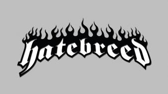 Music metalcore logos hatebreed wallpaper