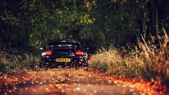 Porsche gt3 cup autumn cars forests leaves wallpaper