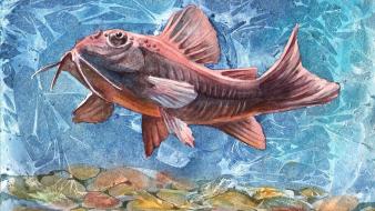 Water paintings nature fish artwork catfish watercolor underwater