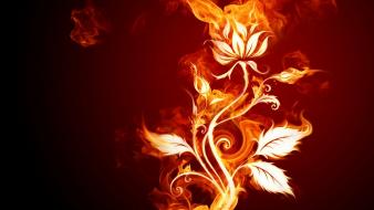 Abstract flowers fire wallpaper