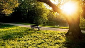 Bench grass landscapes nature parks wallpaper