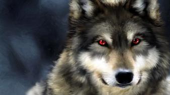 Black white hunter red eyes grey wolf wild wallpaper