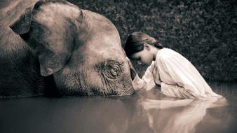 Sepia elephants children gregory colbert ashes and snow wallpaper