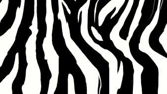 Zebra print background wallpaper
