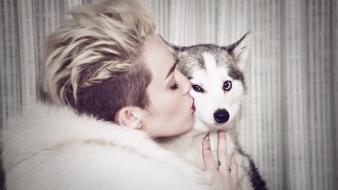 Miley cyrus actress cut dogs short hair wallpaper
