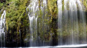 Nature outdoors trees water waterfalls wallpaper