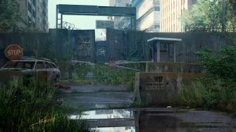 Post-apocalyptic the last of us wallpaper