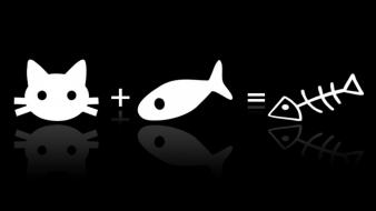 Black and white equation wallpaper