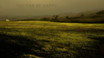 California adult swim you can be happy wallpaper