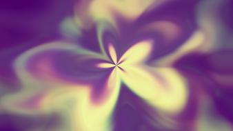Flowers blurred wallpaper
