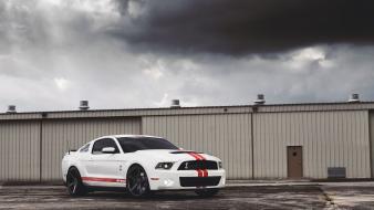Ford muscle cars mustang white american shelby wallpaper