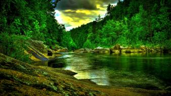 Forest river wallpaper