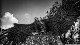 Japan black and white animals eagles sculpture wallpaper
